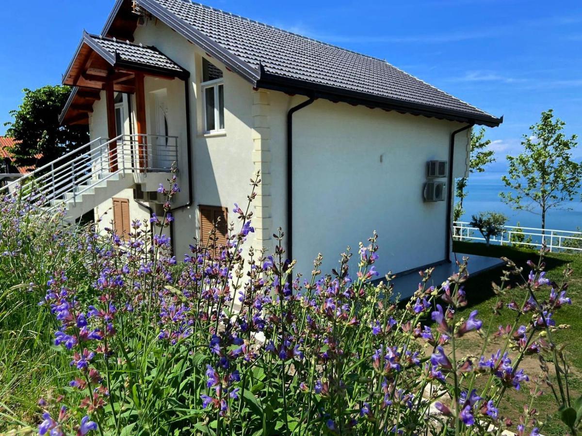 Xhuli Guesthouse Shkodër Eksteriør bilde