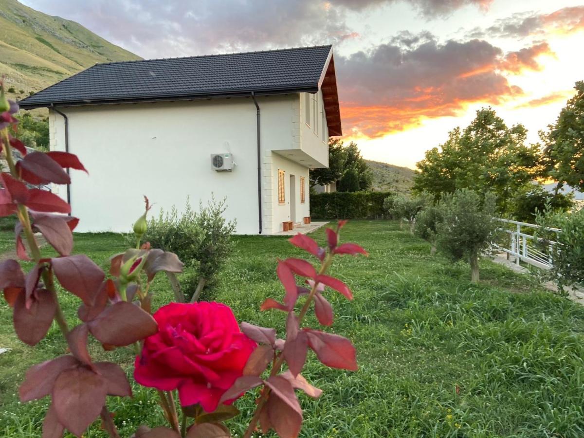 Xhuli Guesthouse Shkodër Eksteriør bilde