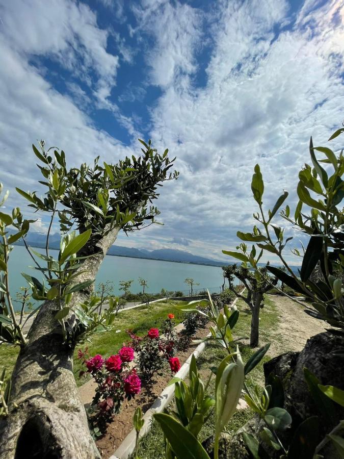 Xhuli Guesthouse Shkodër Eksteriør bilde