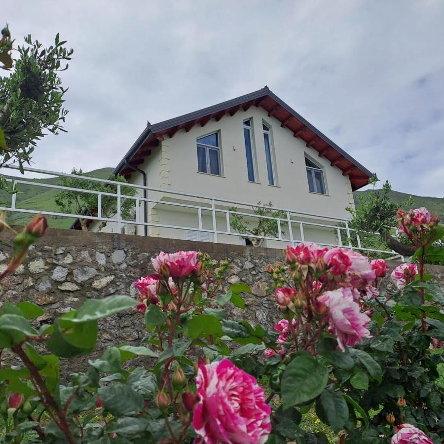 Xhuli Guesthouse Shkodër Eksteriør bilde