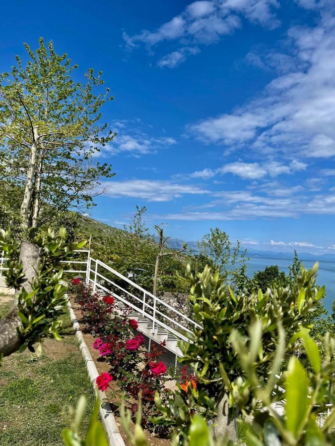 Xhuli Guesthouse Shkodër Eksteriør bilde